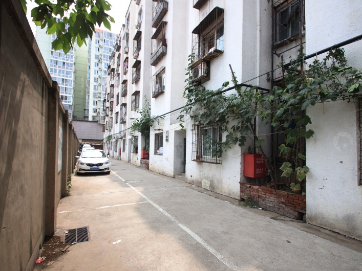 西潞北大街图片