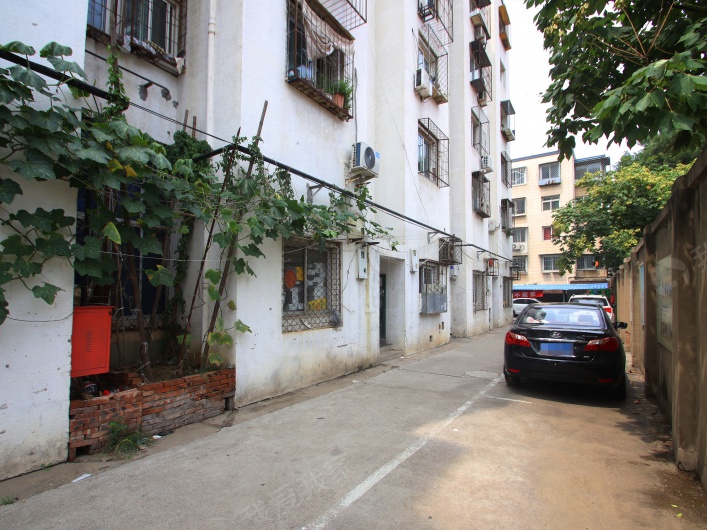 西潞北大街图片
