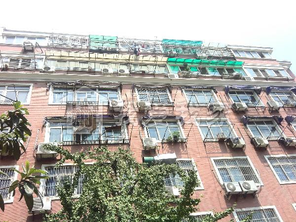 双龙巷图片