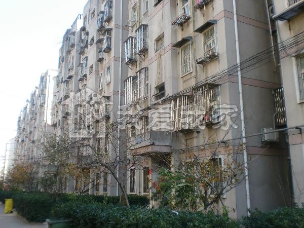 尧安新村100号北院图片