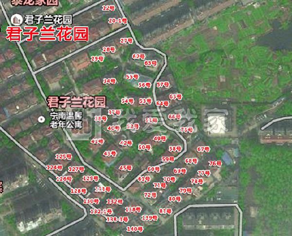 君子兰花园图片