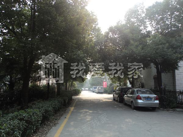 君子兰花园图片