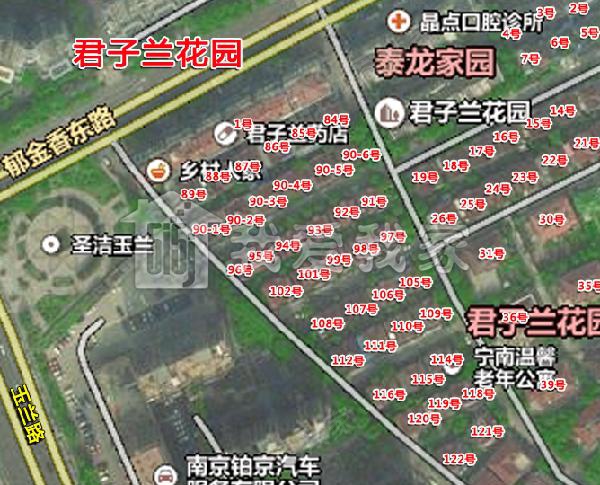 君子兰花园图片