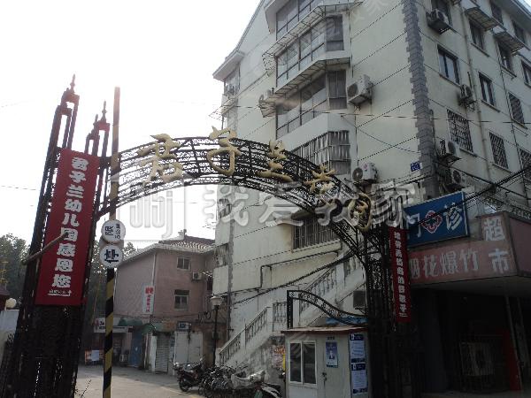 君子兰花园图片