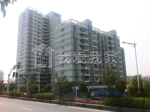 海苑华庭图片