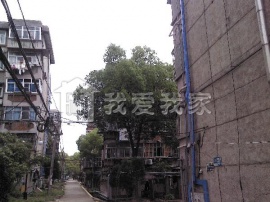 南炼二村