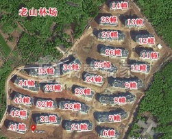 老山林场