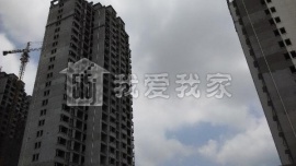 天正理想城