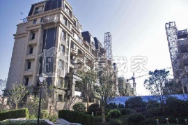大华锦绣华城-香鸢美颂