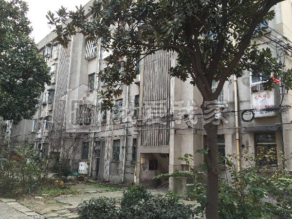 九龙洼图片