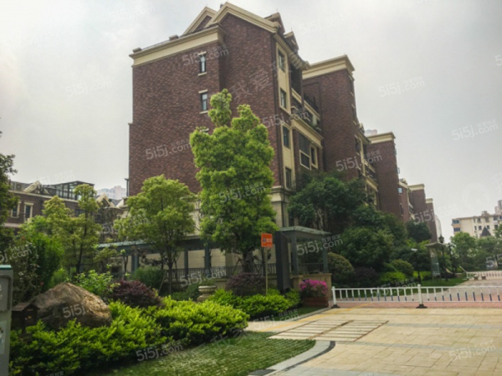 中建·城中墅图片
