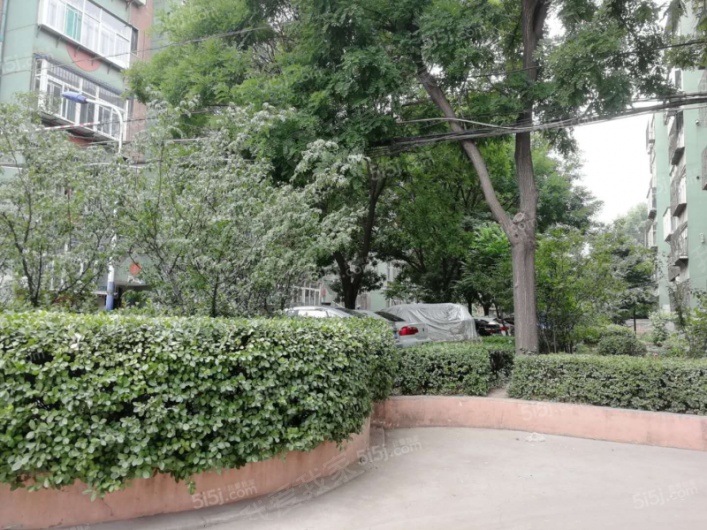 和平南路85号院图片