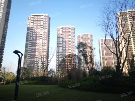保利西江月