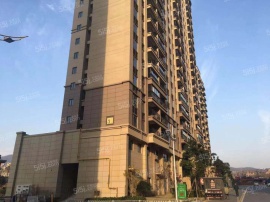 碧桂园大学印象
