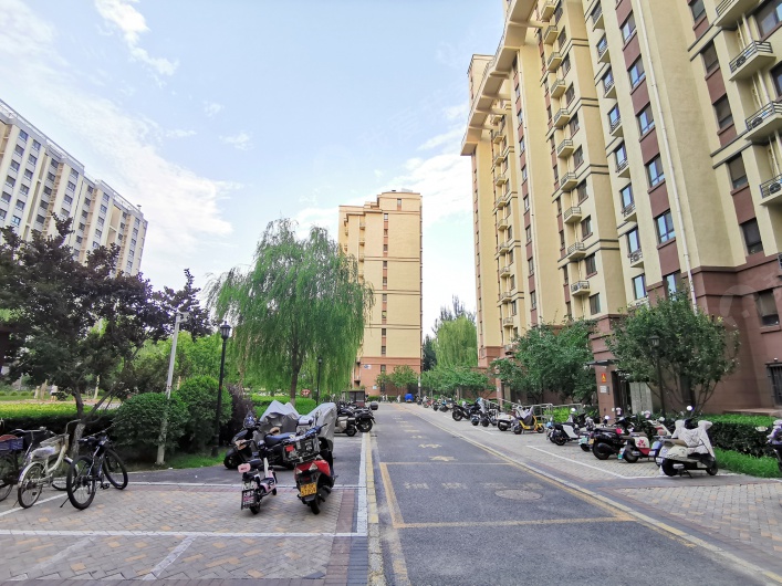 金成雅苑图片