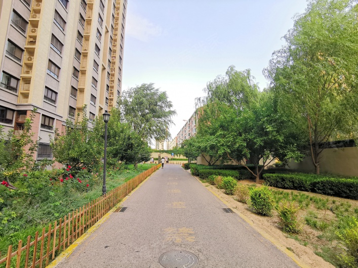 金成雅苑图片