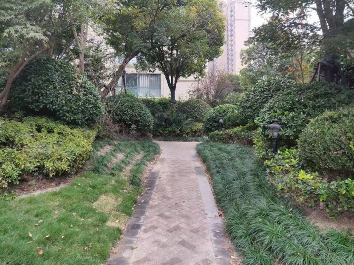 远洋香奈图片