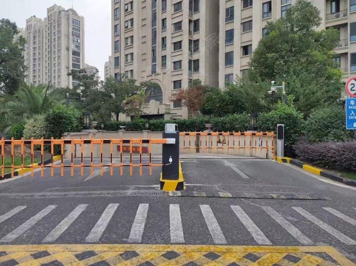 远洋香奈图片