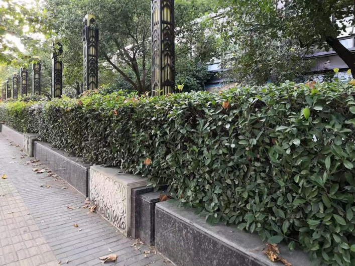 中环名品公馆图片