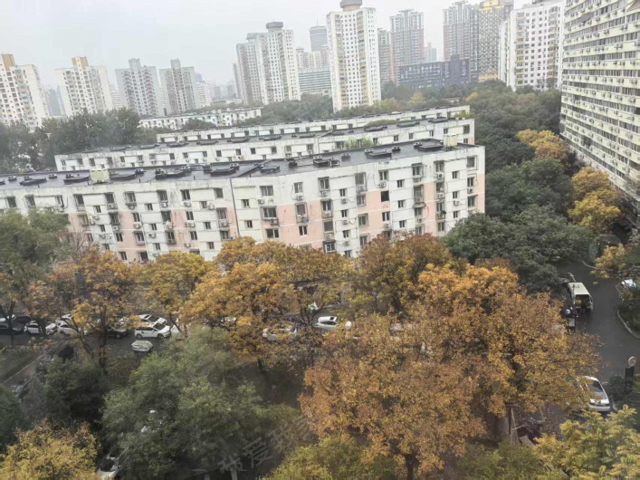 芳古园一区图片
