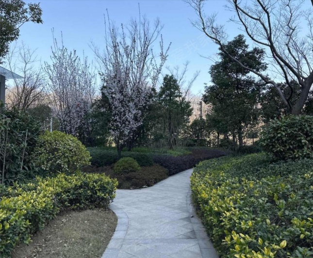 通宇林景博园北院图片