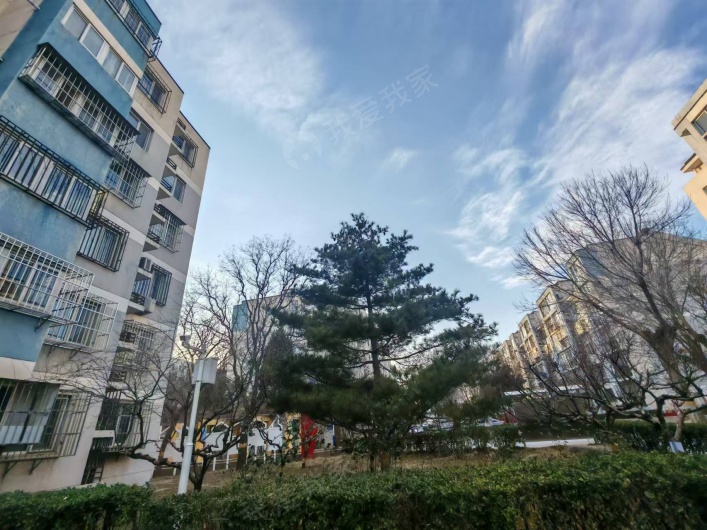 龙锦苑二区图片