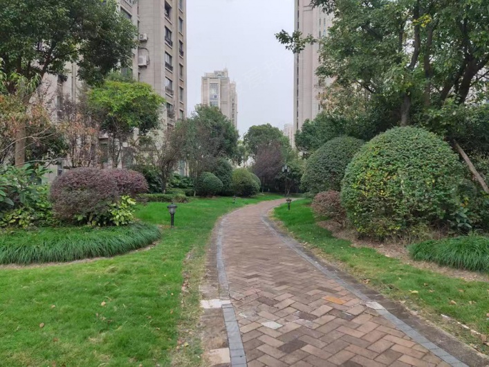 远洋香奈图片