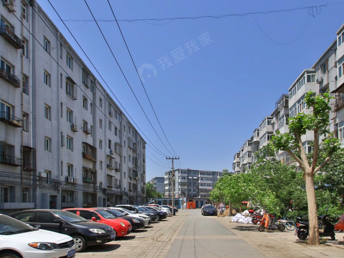 农林路图片