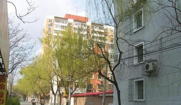 北土城西路167号图片