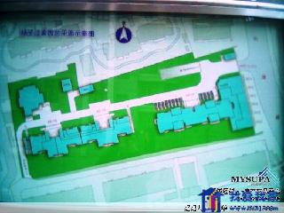 上海扬子江家园