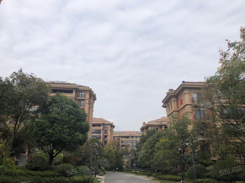南京我爱我家星叶羊山湖花园第8张图