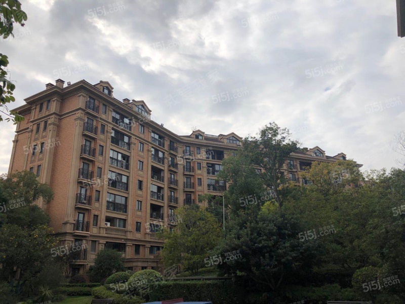 南京我爱我家星叶羊山湖花园第12张图
