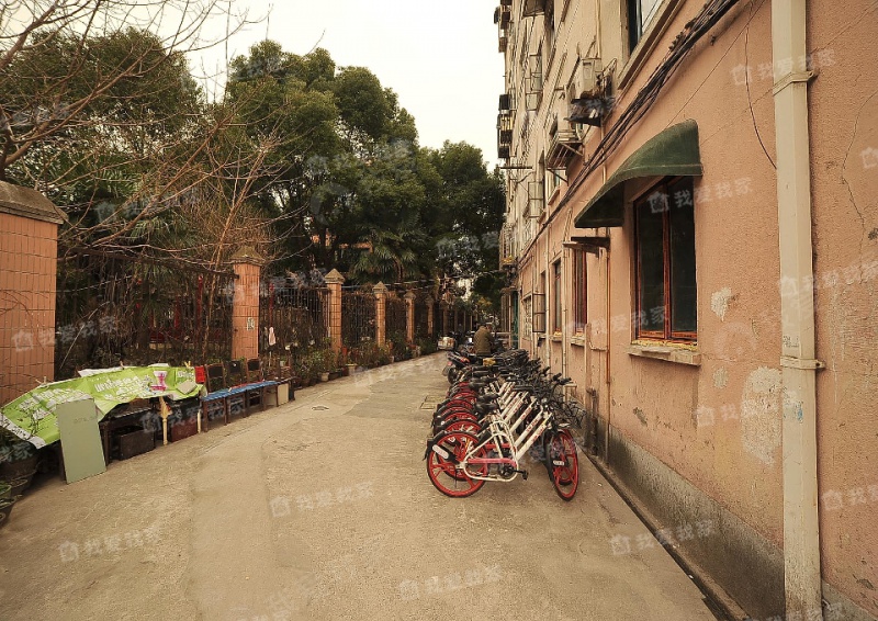 曹杨三村兰岭园
