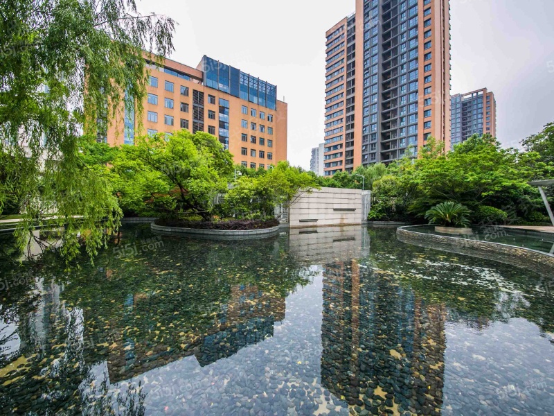 苏州我爱我家仁恒双湖湾第8张图