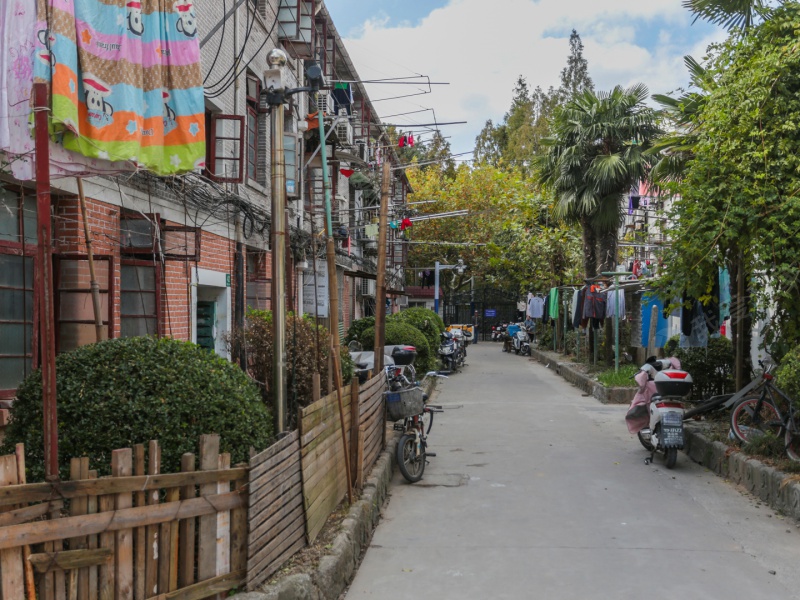 曹杨七村