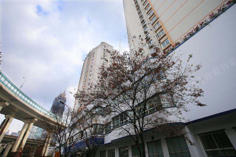 金鹿大楼