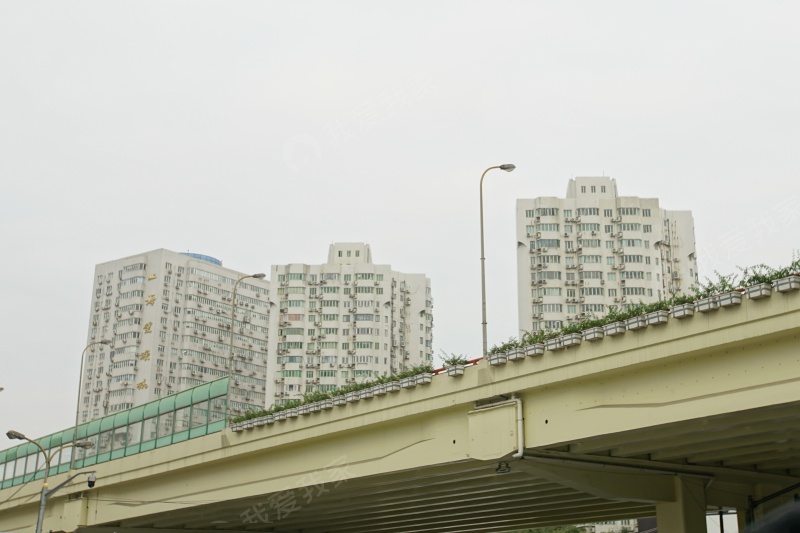 上海望族城