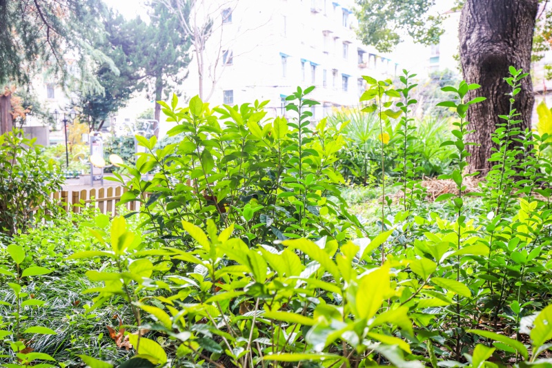 上海鞍山三村