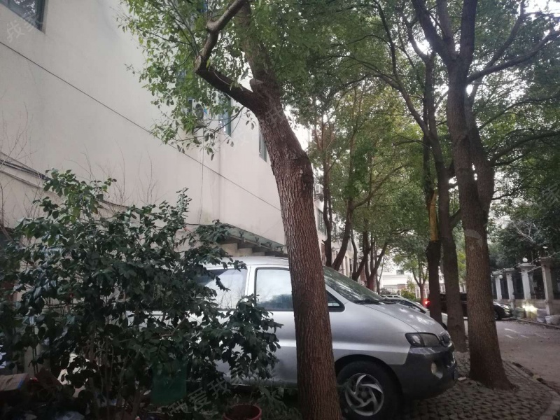 上海龙茗路585号