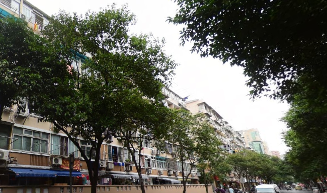 上海西镇小区-法华镇路751弄