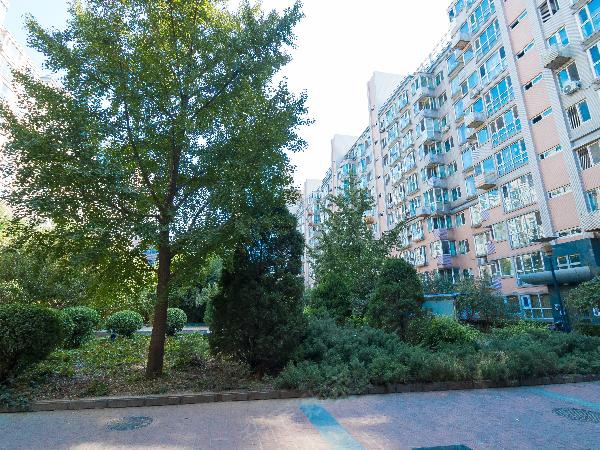 枫桦豪景